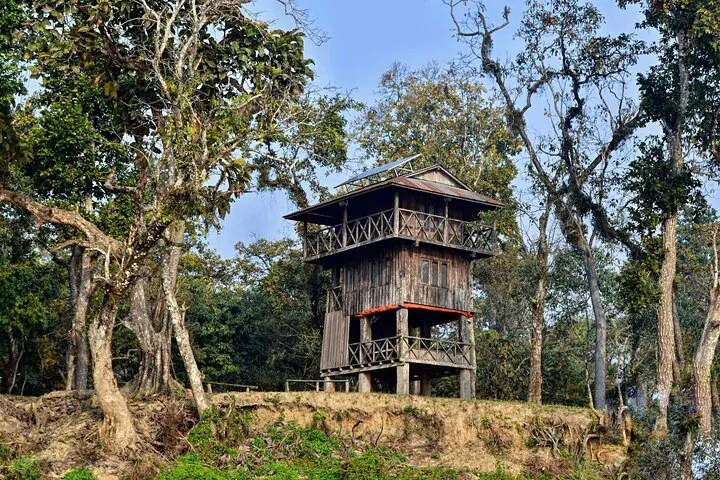 Two-story wooden watchtower surrounded by trees in the jungle