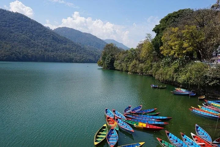 Coloridos botes de pedal atracados en un lago sereno rodeado de colinas boscosas.